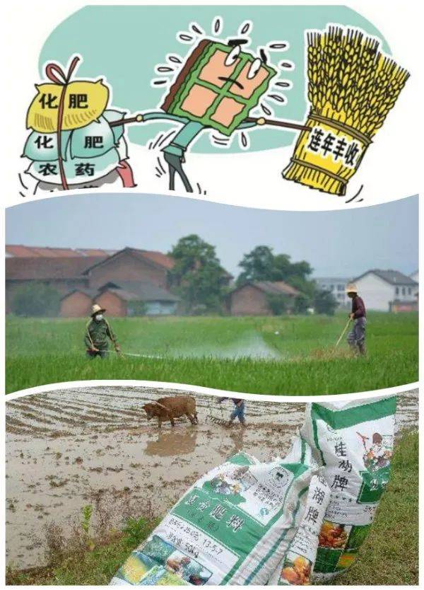 4个地下水污染的罪魁祸首——以化肥为核心的技术解析
